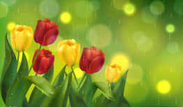 郁金香漫画,一场穿越时空的奇幻之旅