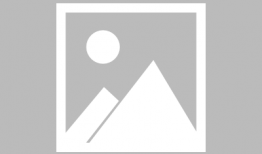 薯条漫画,趣味横生的日常趣事